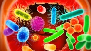 This Dental Mistake Reveals Deadly Danger Lurking In Your Mouth That Could Trigger Pancreatic Cancer Catastrophe Illustration of the relationship between oral bacteria and increased pancreatic cancer risk.