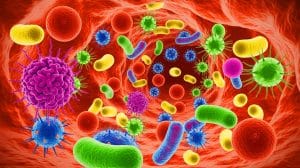 Illustration of the interaction between human gut cells and newly discovered gut viruses.